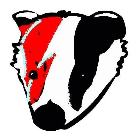 The Badgers